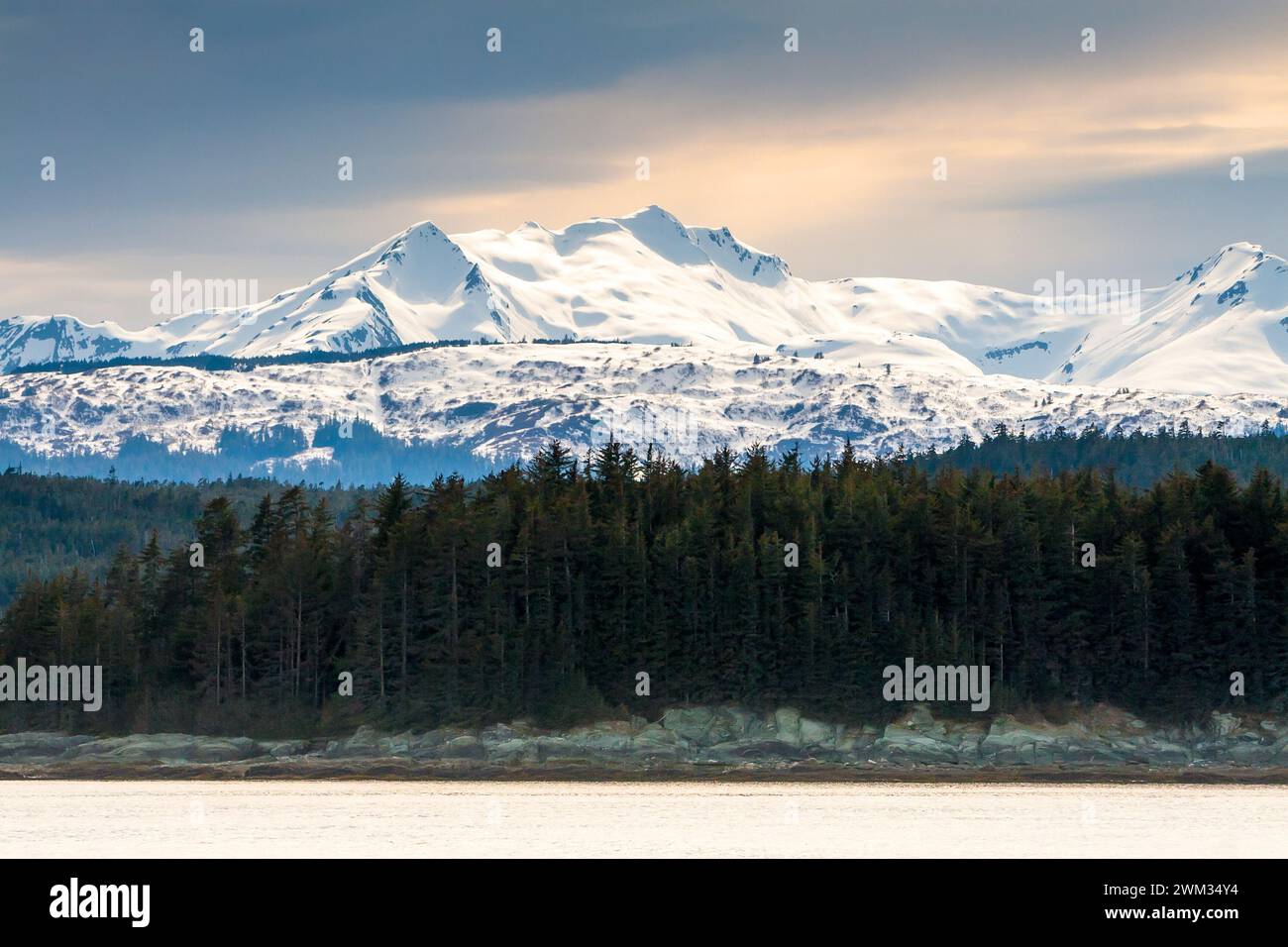 Landscape snow capped tree hi-res stock photography and images - Alamy