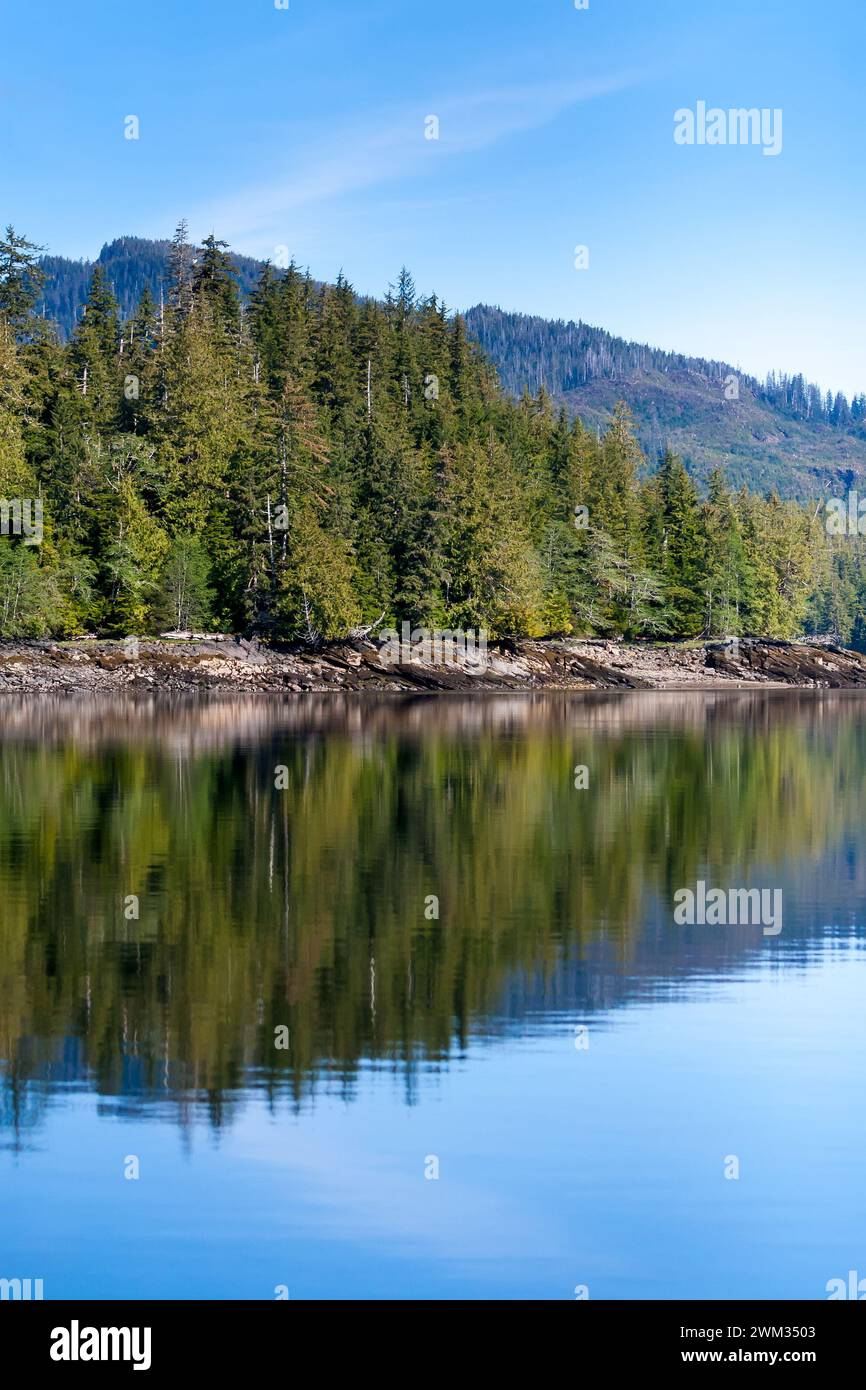 Reflection of trees in the water along the Carroll Inlet near Ketchikan, Alaska Stock Photo