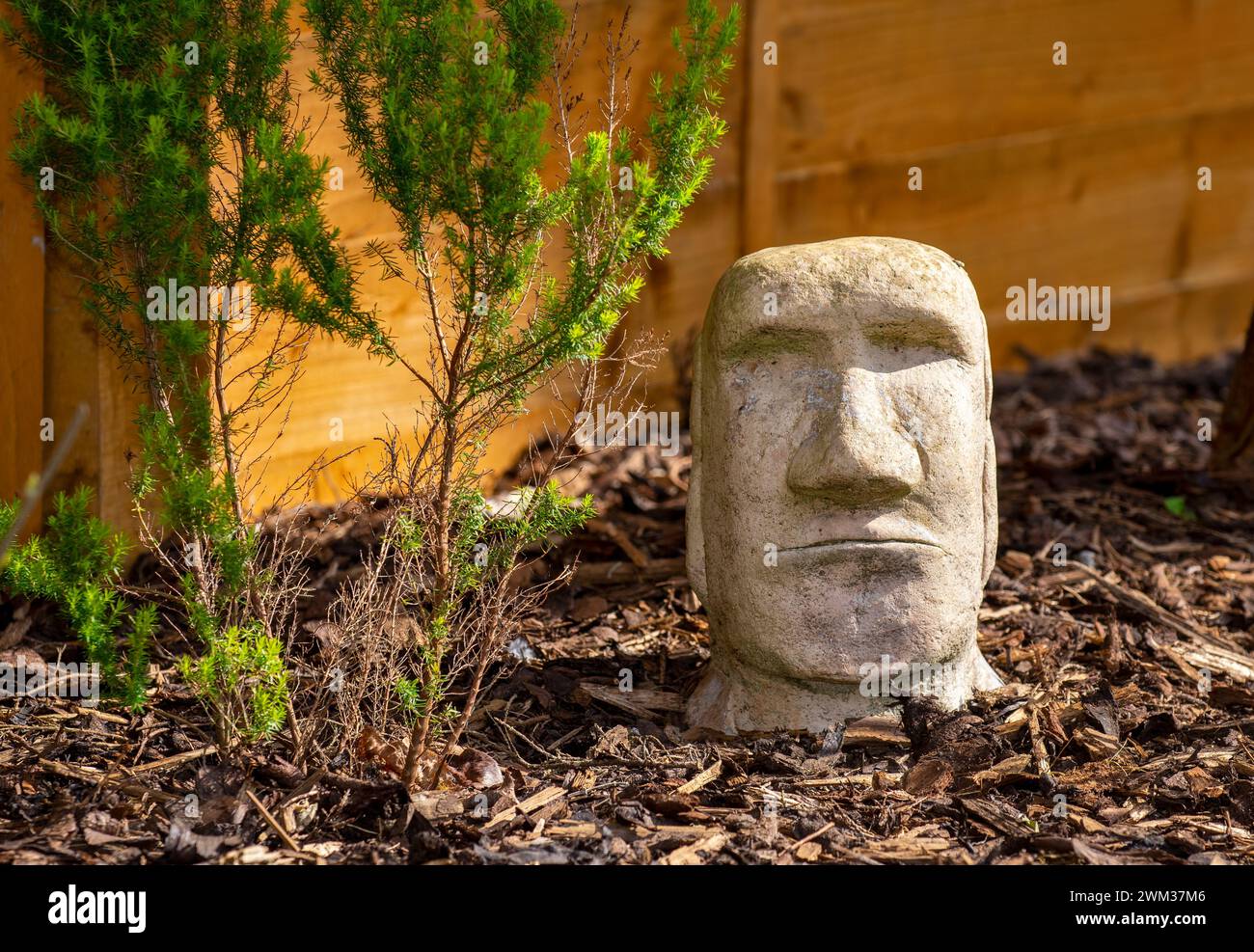 Christmas Island style stone garden statue on bark in garden on sunny
