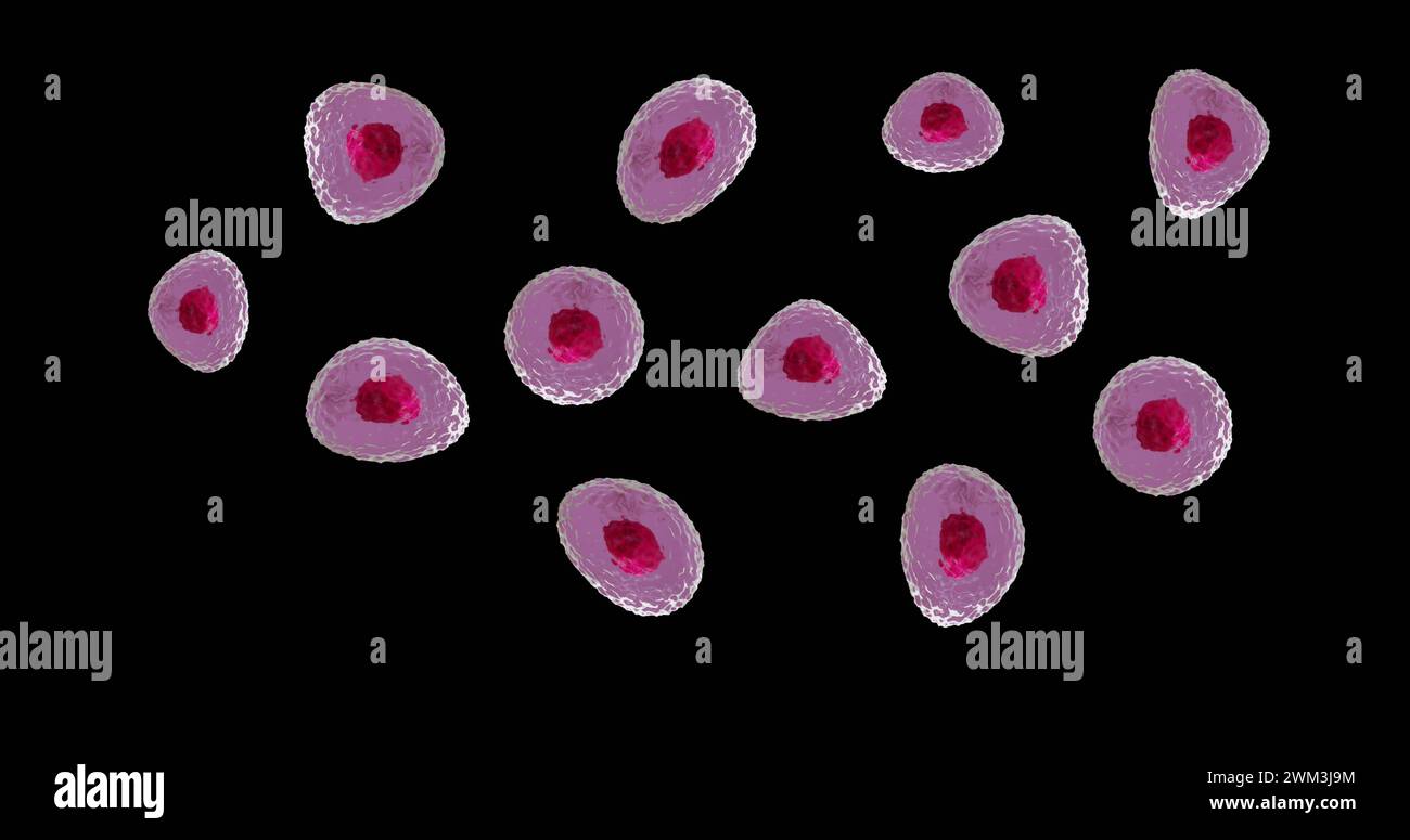 Red Roses Cells Image of micro of red and pink cells on black background Stock Photo ...