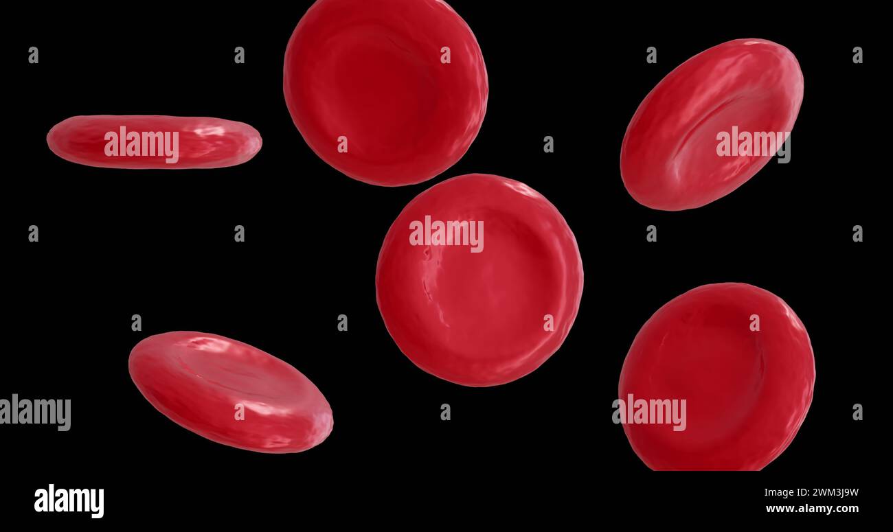 Image of micro of red blood cells on black background Stock Photo