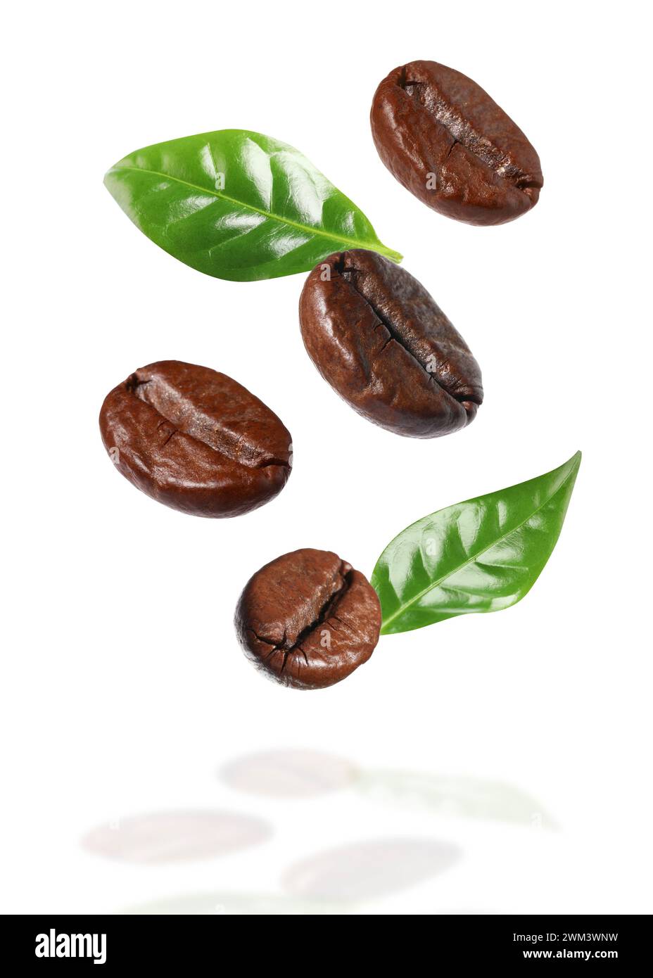Roasted coffee beans and green leaves in air on white background Stock ...