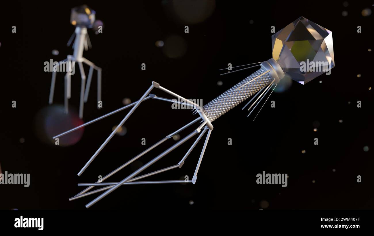 3d rendering of bacteriophage also known informally as phage Stock Photo