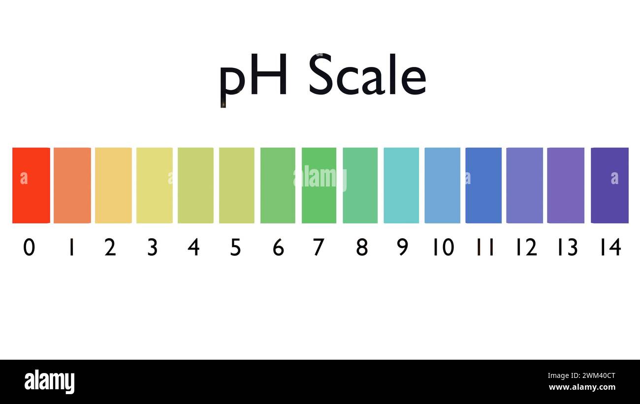 3d rendering of pH (potential of hydrogen) or value scale for acid and alkaline solutions. Stock Photo
