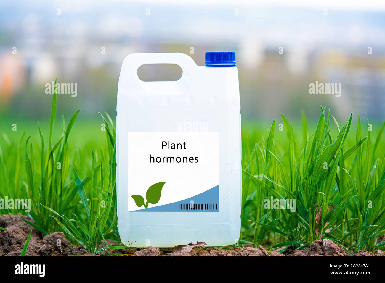 Container of plant hormones Stock Photo