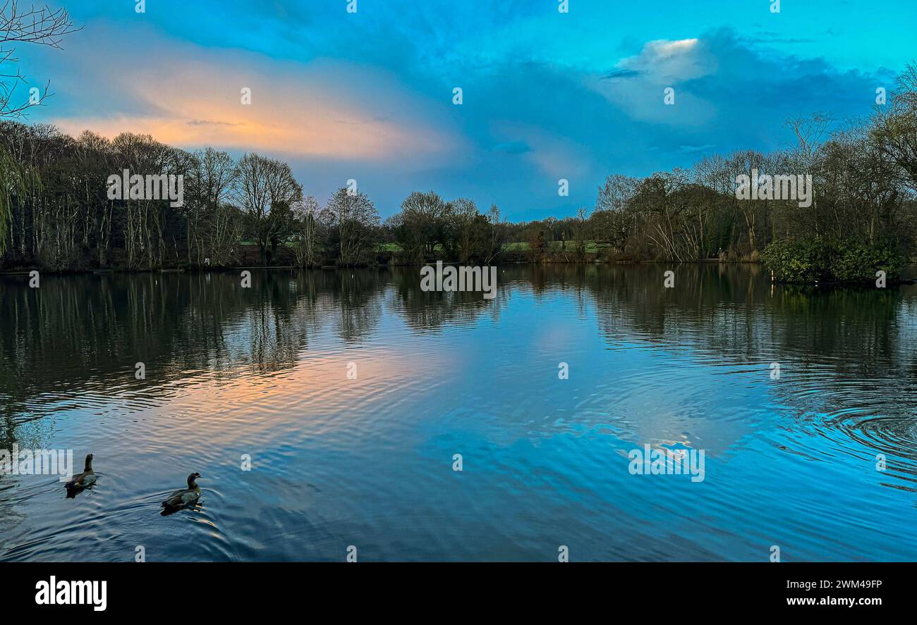 Guildford, UK. 23rd Feb, 2024. Brittens Pond, Worplesdon. 23rd February