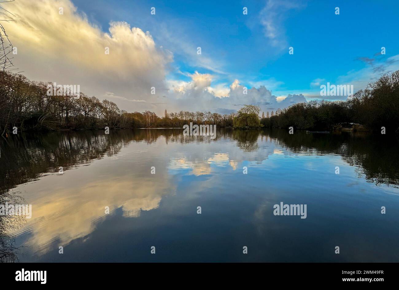 Guildford, UK. 23rd Feb, 2024. Brittens Pond, Worplesdon. 23rd February