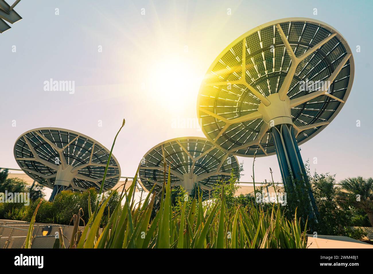 Large solar panels in the rainforest. Alternative solar energy ...