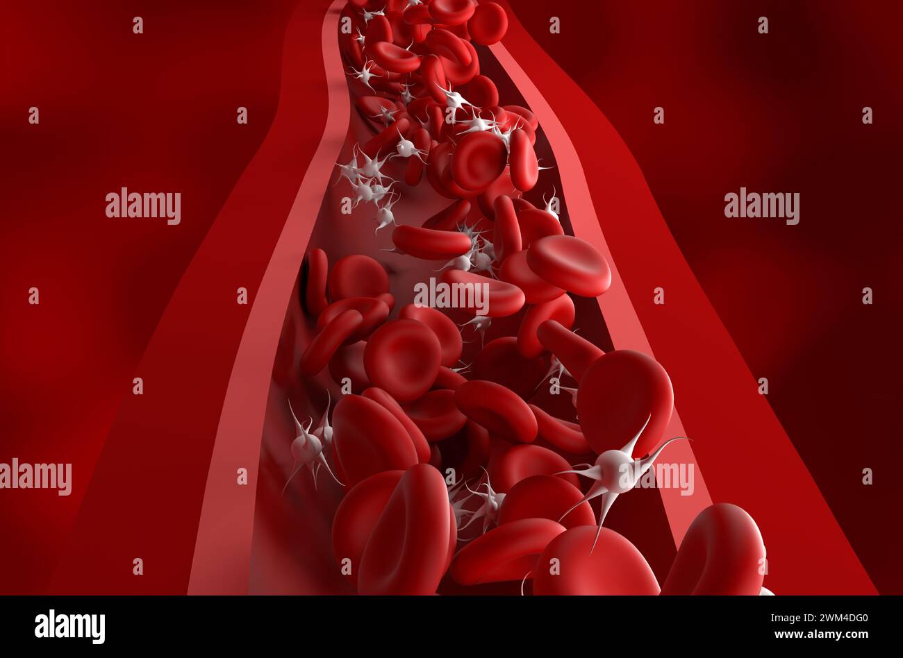 Normal platelet (thrombocytes) count in the blood - front view 3d illustration Stock Photo