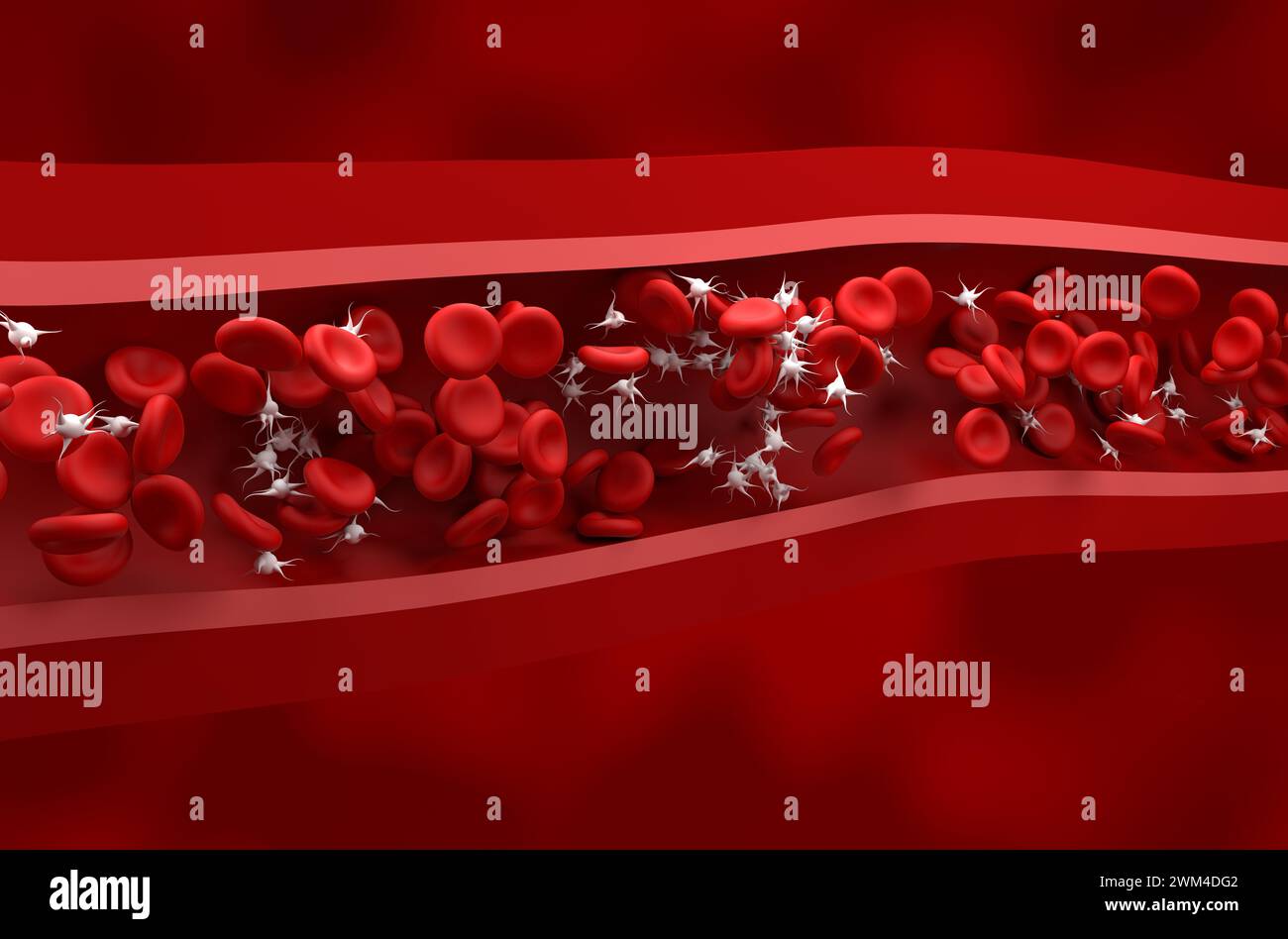 Normal platelet (thrombocytes) count in the blood - isometric view 3d illustration Stock Photo