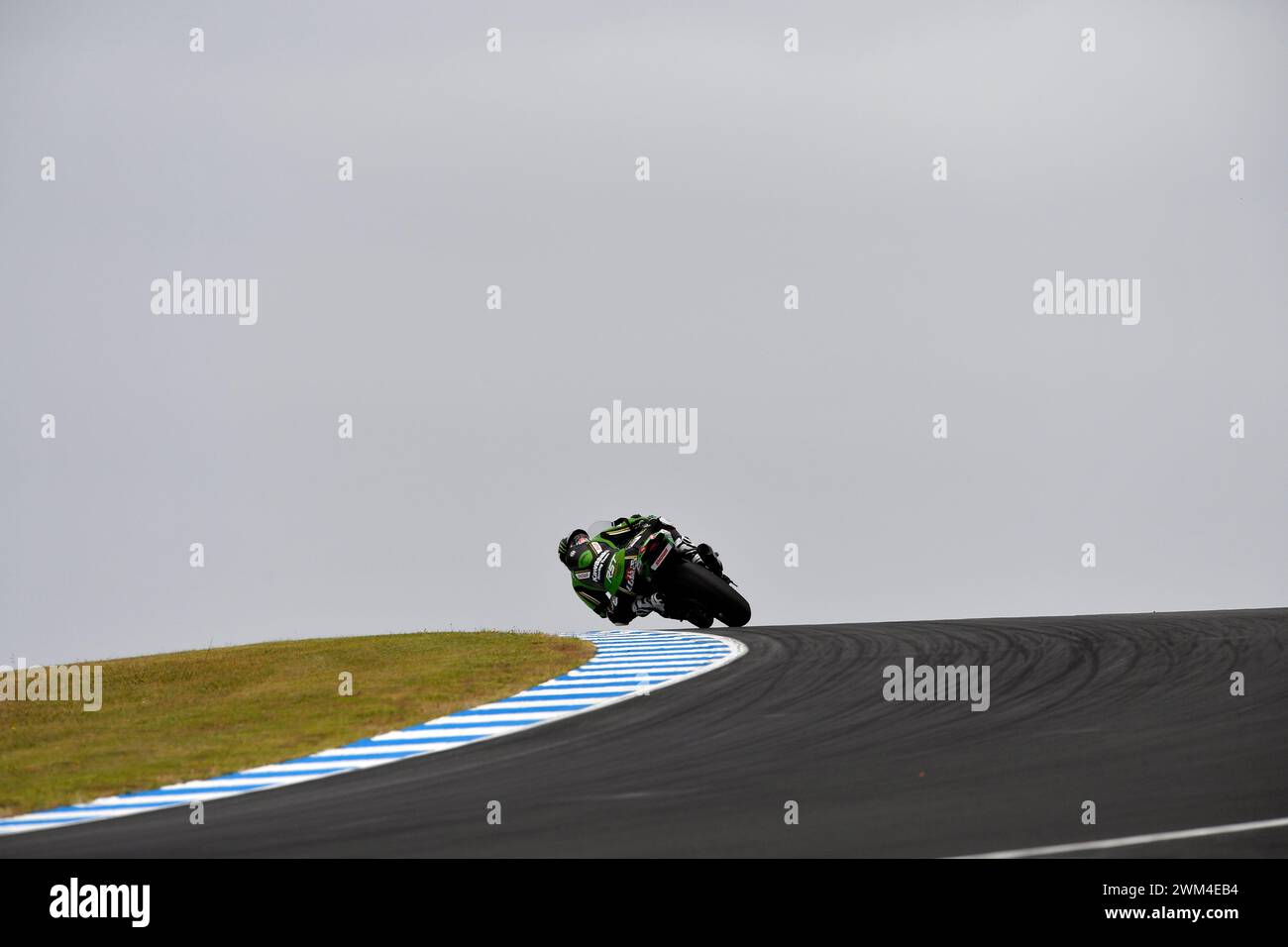 MELBOURNE, AUSTRALIA. 24 February, 2024. Alex Lowes(22) of Great Britain riding the Kawasaki ZX-10RR for Kawasaki Racing Team WorldSBK ascends the crest over Lukey Heights at the 2024 World Superbike Championship opening round at Phillip Island Circuit. Credit Karl Phillipson/Alamy Live News Stock Photo