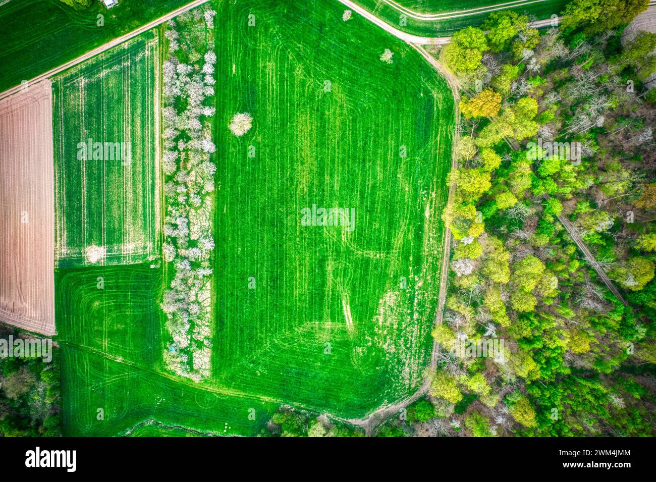 An aerial view of a vibrant green field surrounded by lush trees Stock ...