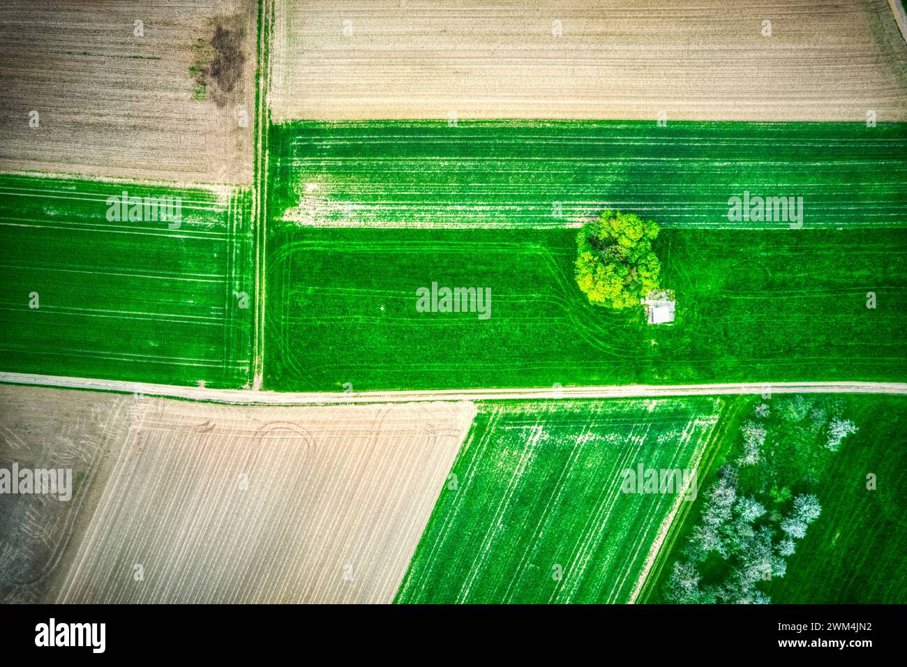 An aerial view of bright green rural fields Stock Photo - Alamy