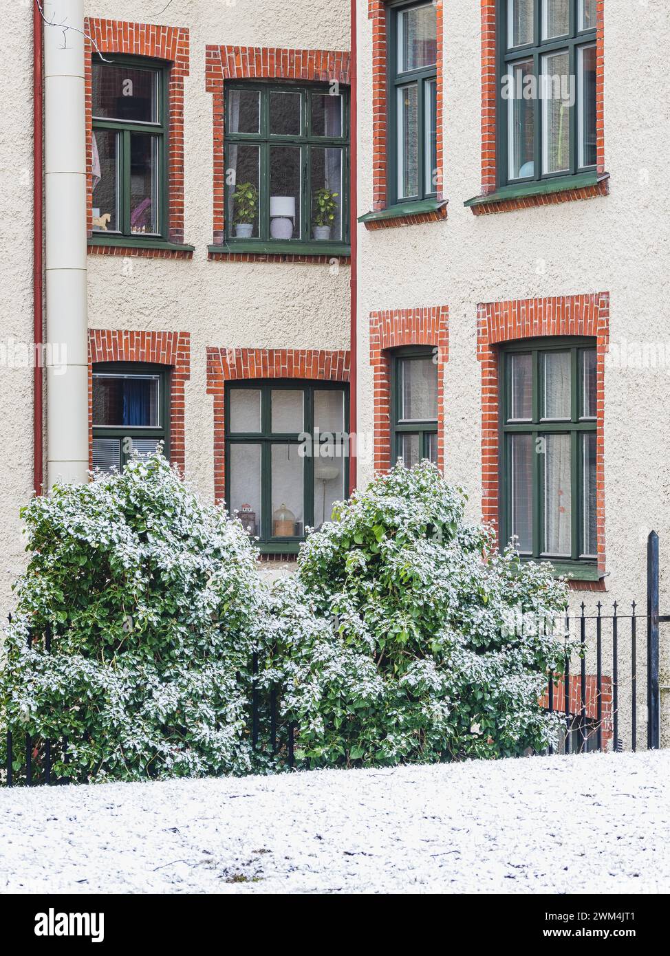 Fresh snow lightly covers the green shrubs situated in front of a classic apartment building with distinctive windows and brick detailing in Gothenbur Stock Photo