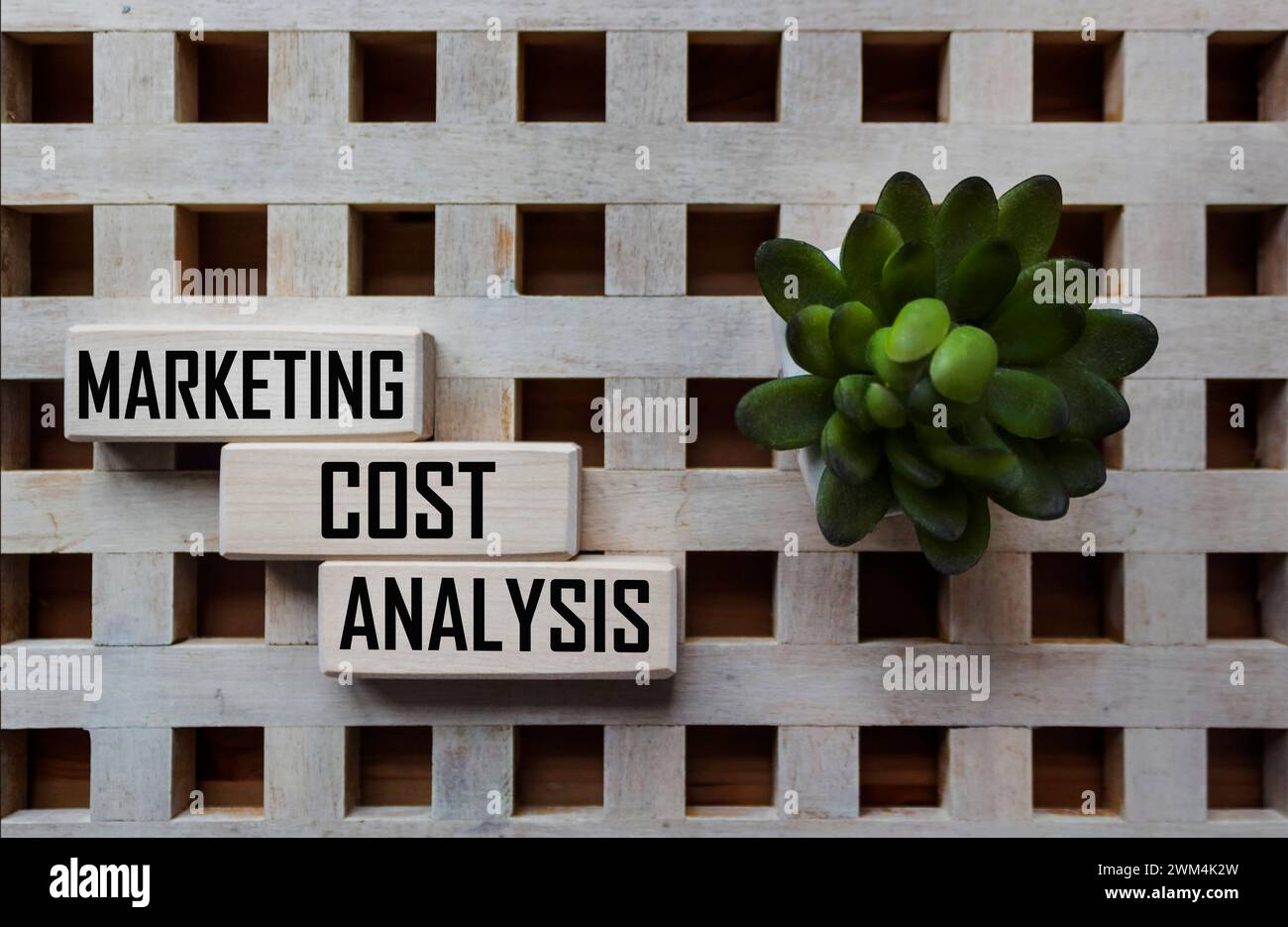 text Marketing Cost Analysis on wooden blocks and beautiful background Stock Photo