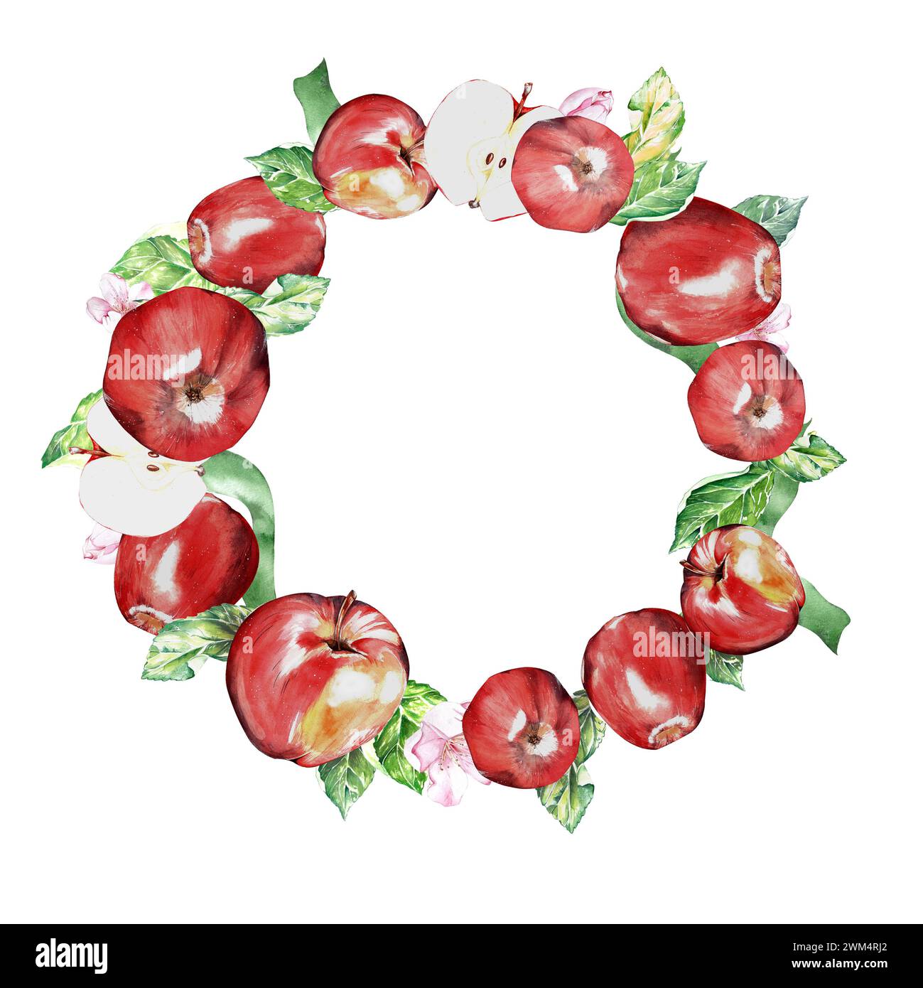 Realistic red green apples hi-res stock photography and images - Alamy