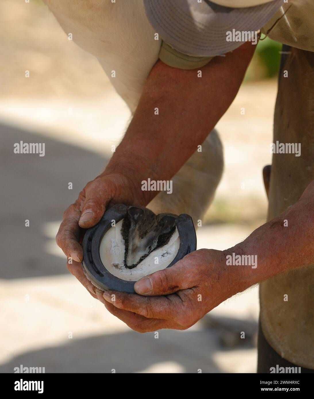 Equine maintenance hires stock photography and images Alamy
