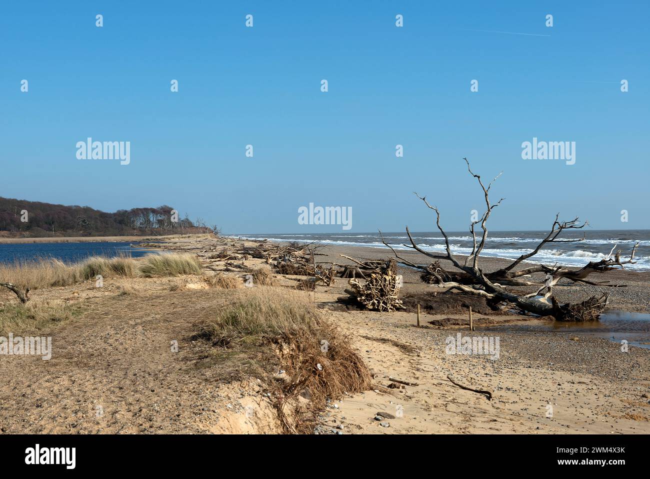 Effects of coastal erosion Benacre Suffolk England Stock Photo - Alamy