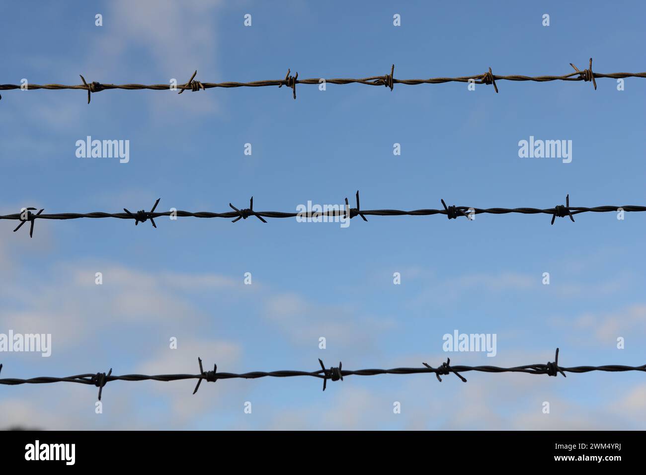 Barbed wire fence with blue sky and white clouds in background, concept ...
