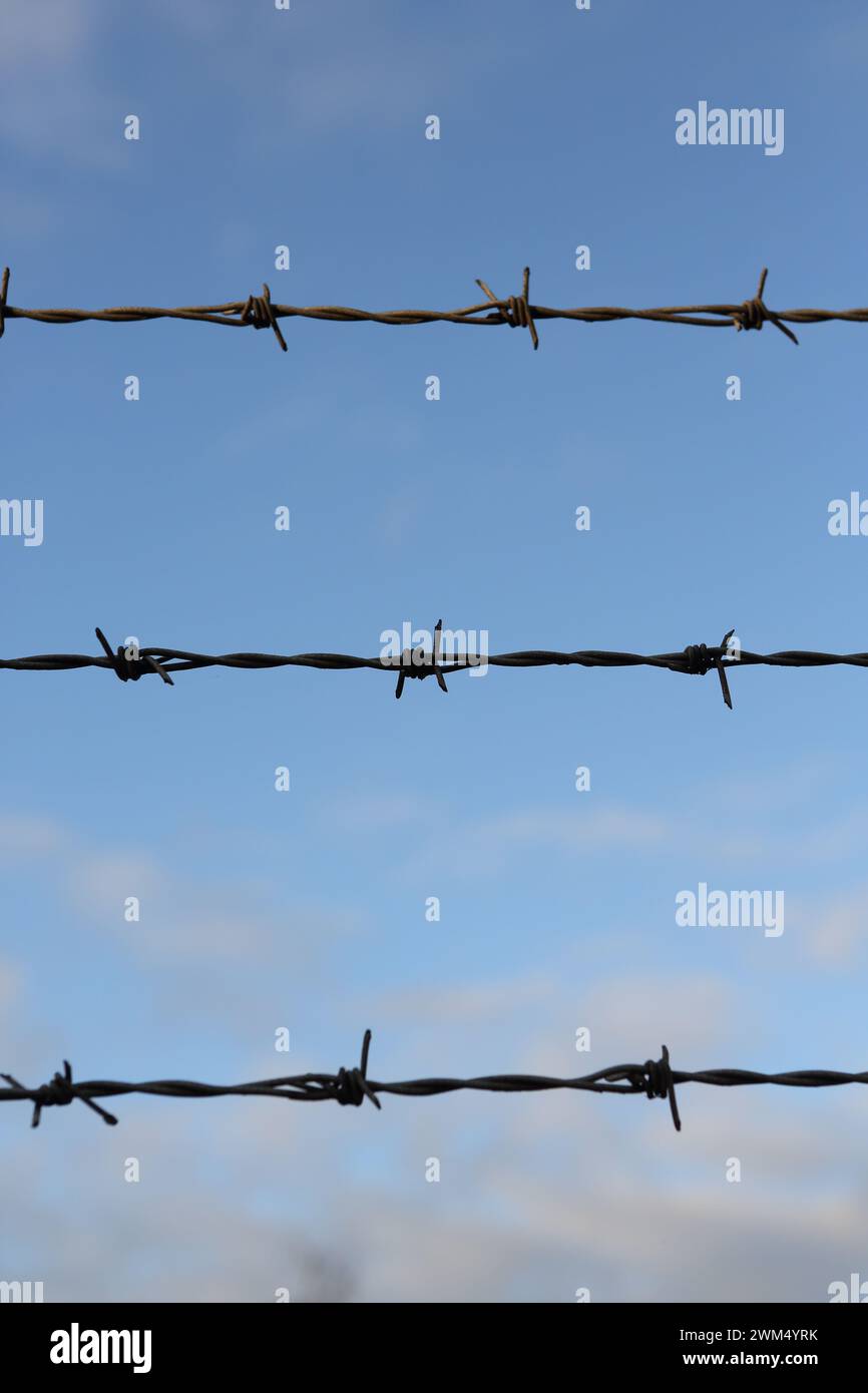 Barbed wire fence with blue sky and white clouds in background, concept ...