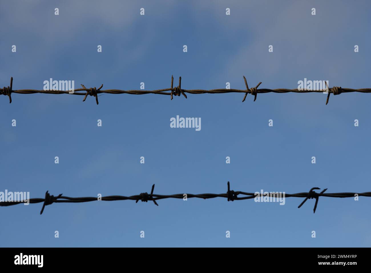 Barbed wire fence with blue sky and white clouds in background, concept ...