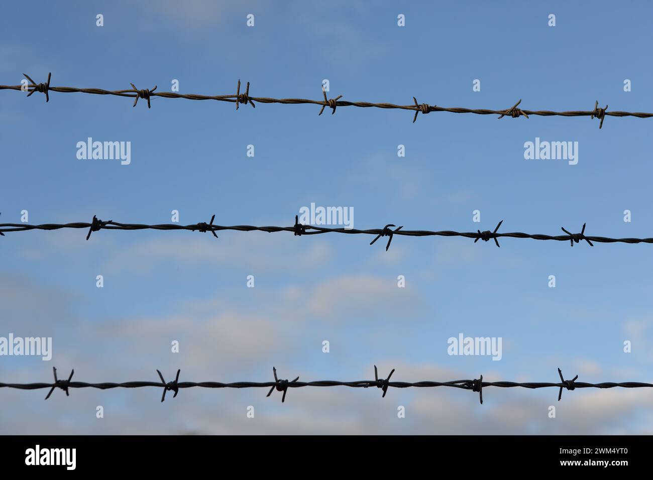Barbed wire fence with blue sky and white clouds in background, concept ...