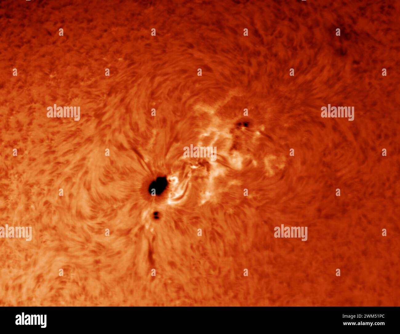 London, UK. 24th Feb, 2024. Closeup of giant sunspot AR3590, a source