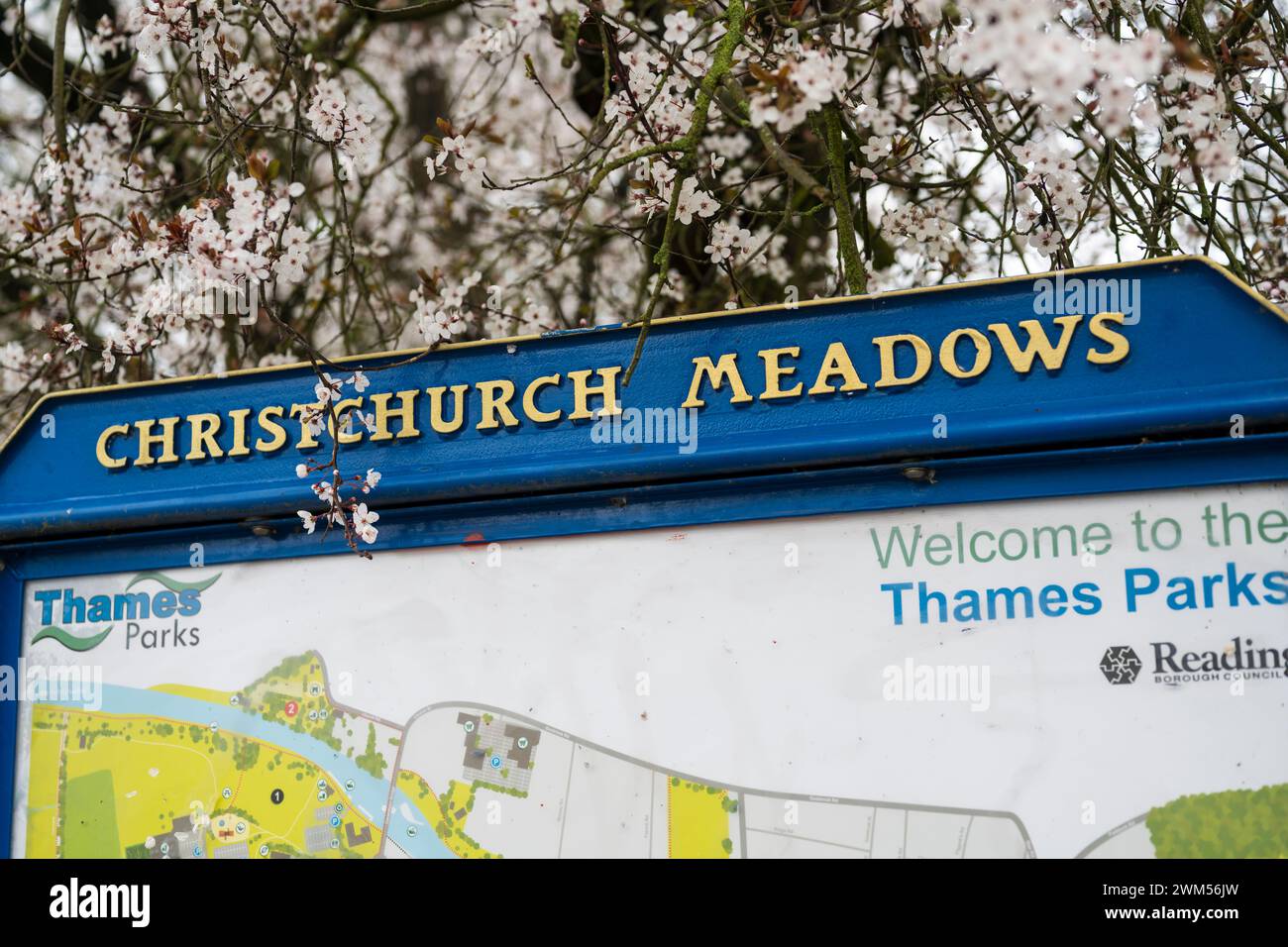 Christchurch Meadows Sign, with Cherry Tree, Caversham, Reading, Berkshire, England, UK, GB. Stock Photo