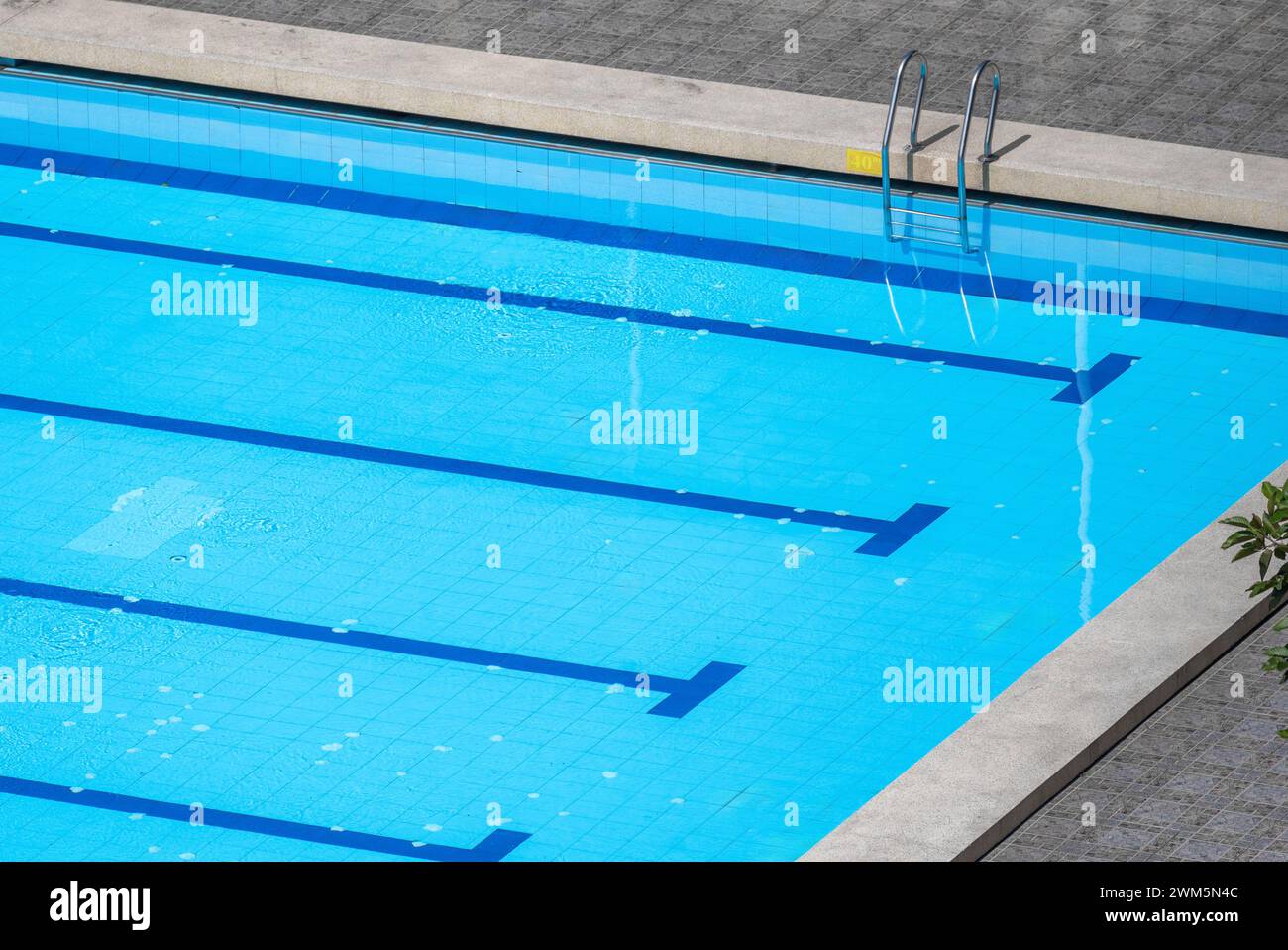 Olympic swimming pool above hi-res stock photography and images - Alamy