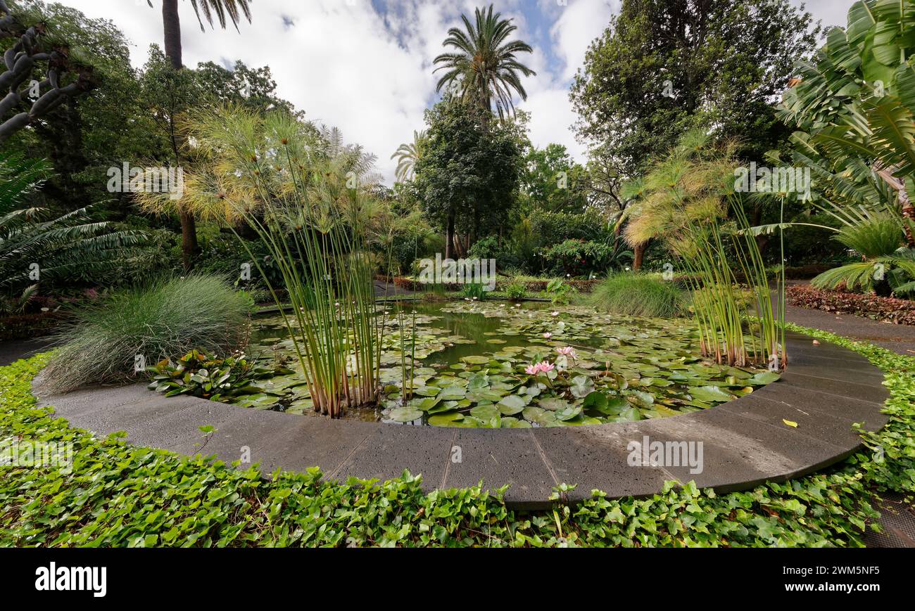 Water lily pond, Puerto de la Cruz Botanical Garden, Tenerife, Canary Islands, Spain, May. Stock Photo