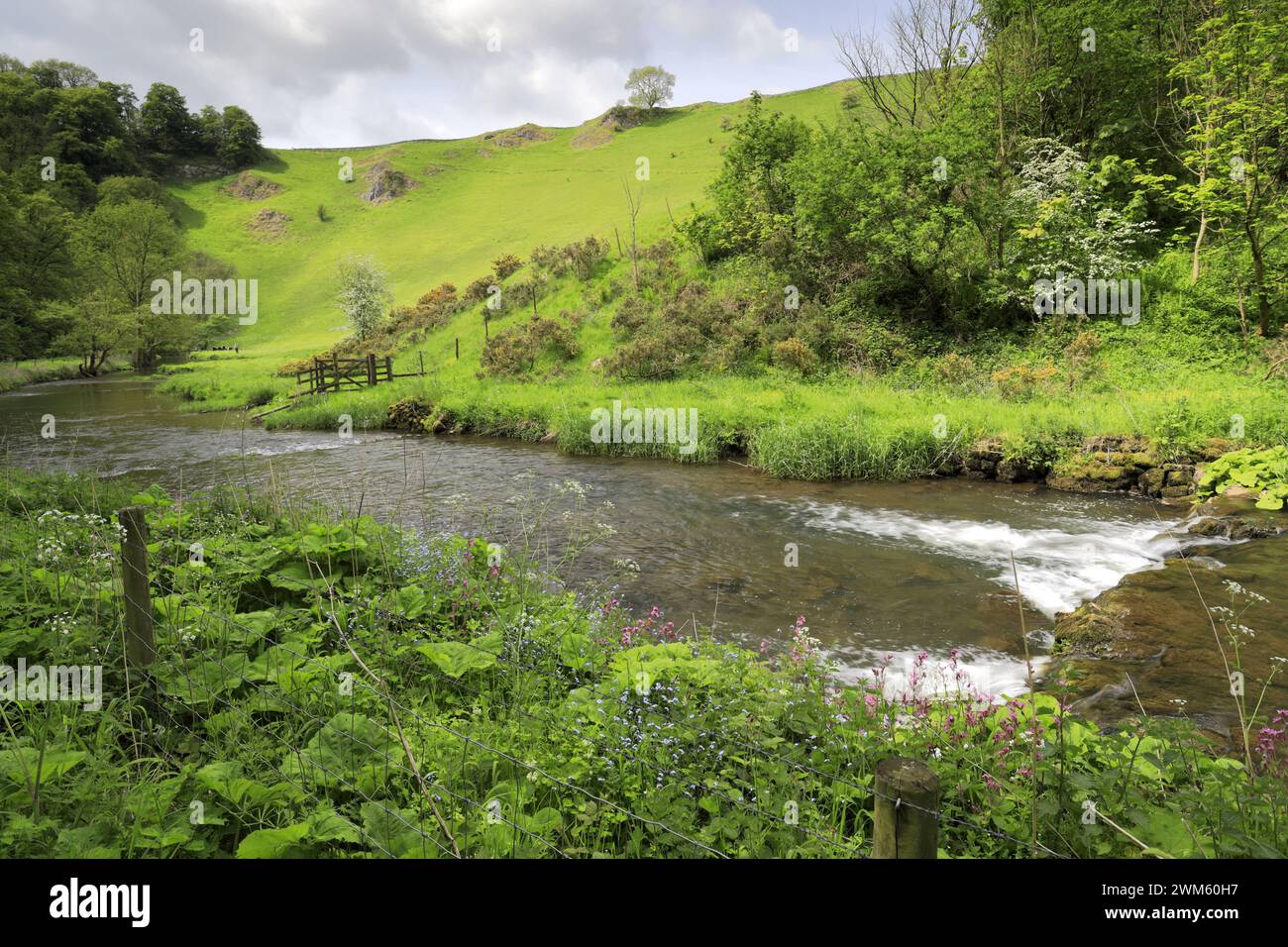 View through the river Dove in Wolfscote Dale, Derbyshire, Peak District National Park, England, UK Stock Photo