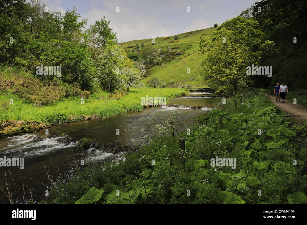 View through the river Dove in Wolfscote Dale, Derbyshire, Peak District National Park, England, UK Stock Photo