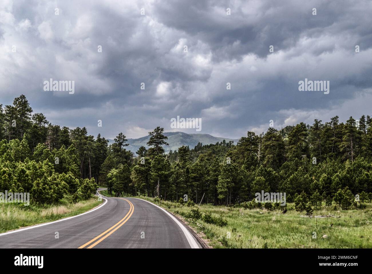 A windy road heading into the forest with stormy skies Stock Photo - Alamy