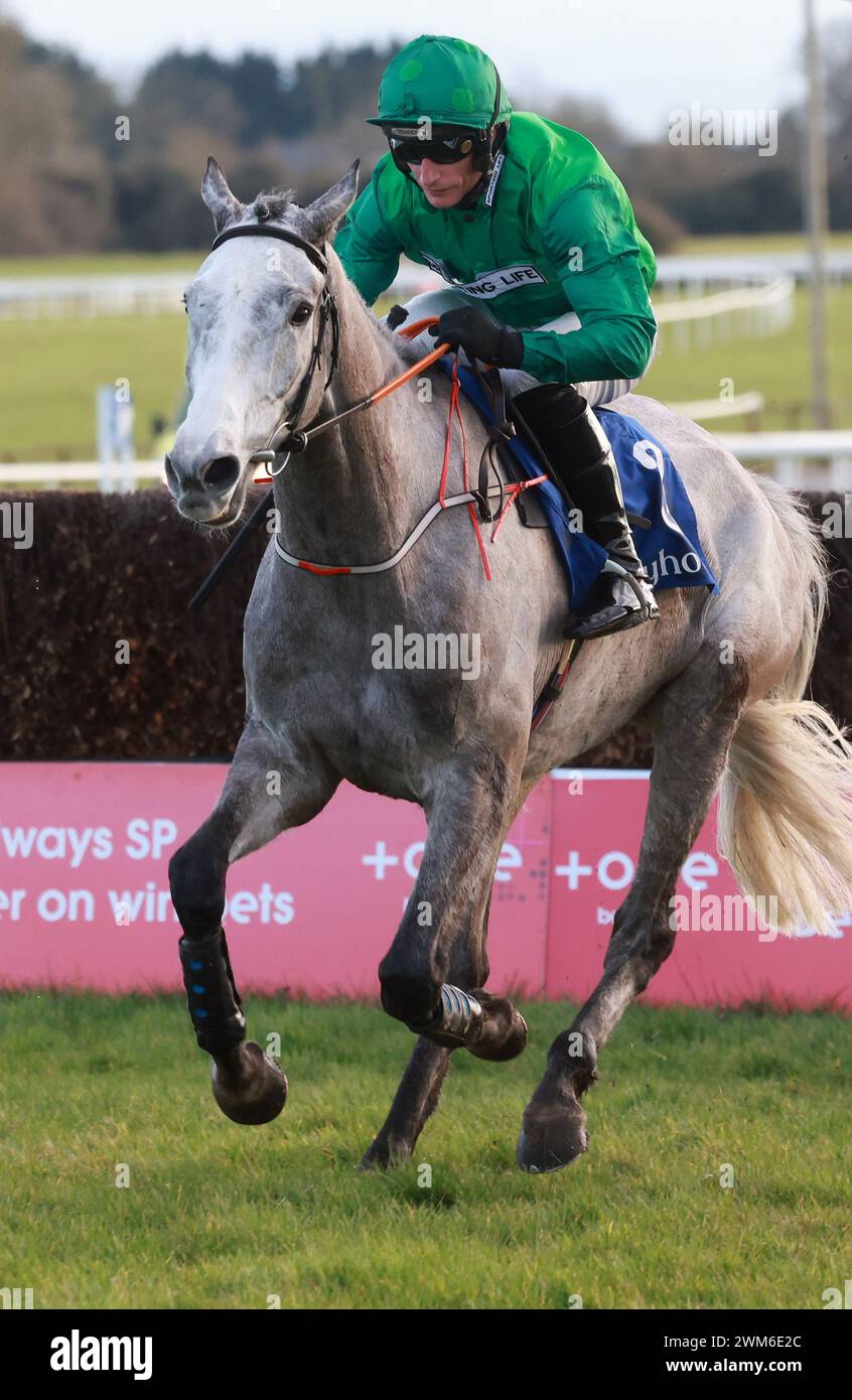 Intense raffles horse racing hi-res stock photography and images - Alamy