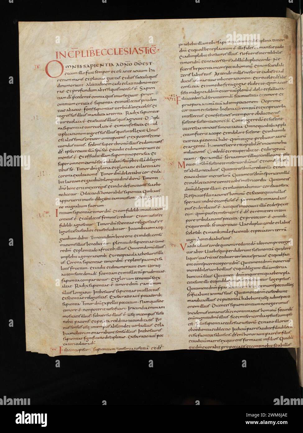 Incomplete Latin Scroll Cod. 4, f. 17v – Biblia latina (Vulgata, Part 2 Solomon to Apocalypse ...