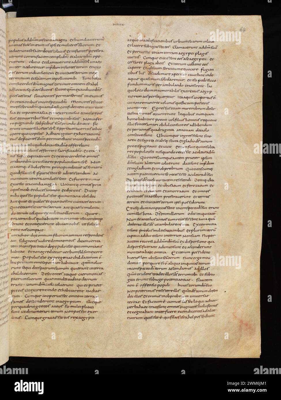 Incomplete Latin Scroll Cod. 4, f. 64r – Biblia latina (Vulgata, Part 2 Solomon to Apocalypse ...