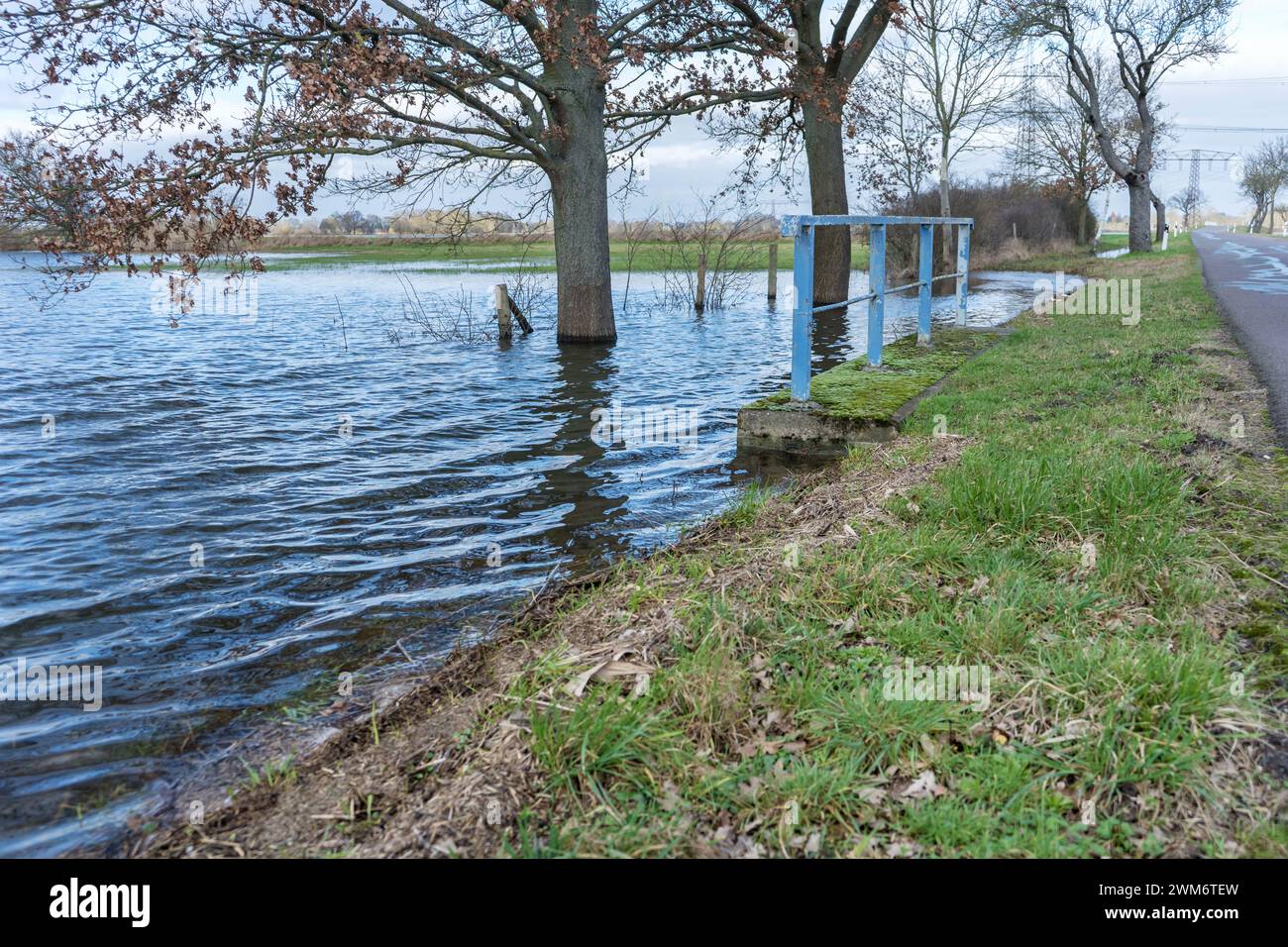 Flooded meadows in the Altmark, Saxony-Anhalt, Germany Stock Photo
