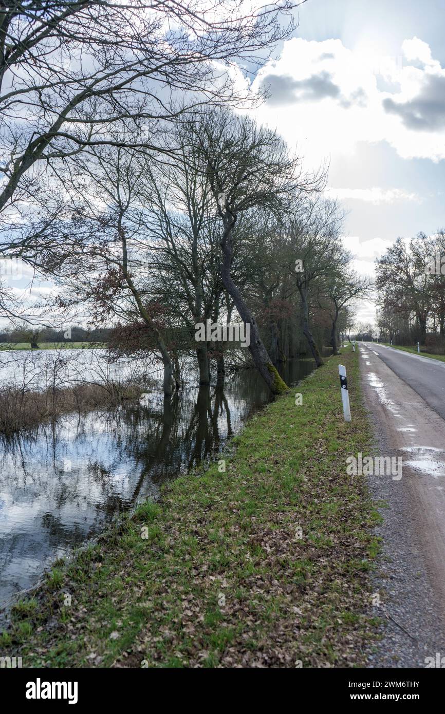 Flooded meadows in the Altmark, Saxony-Anhalt, Germany Stock Photo