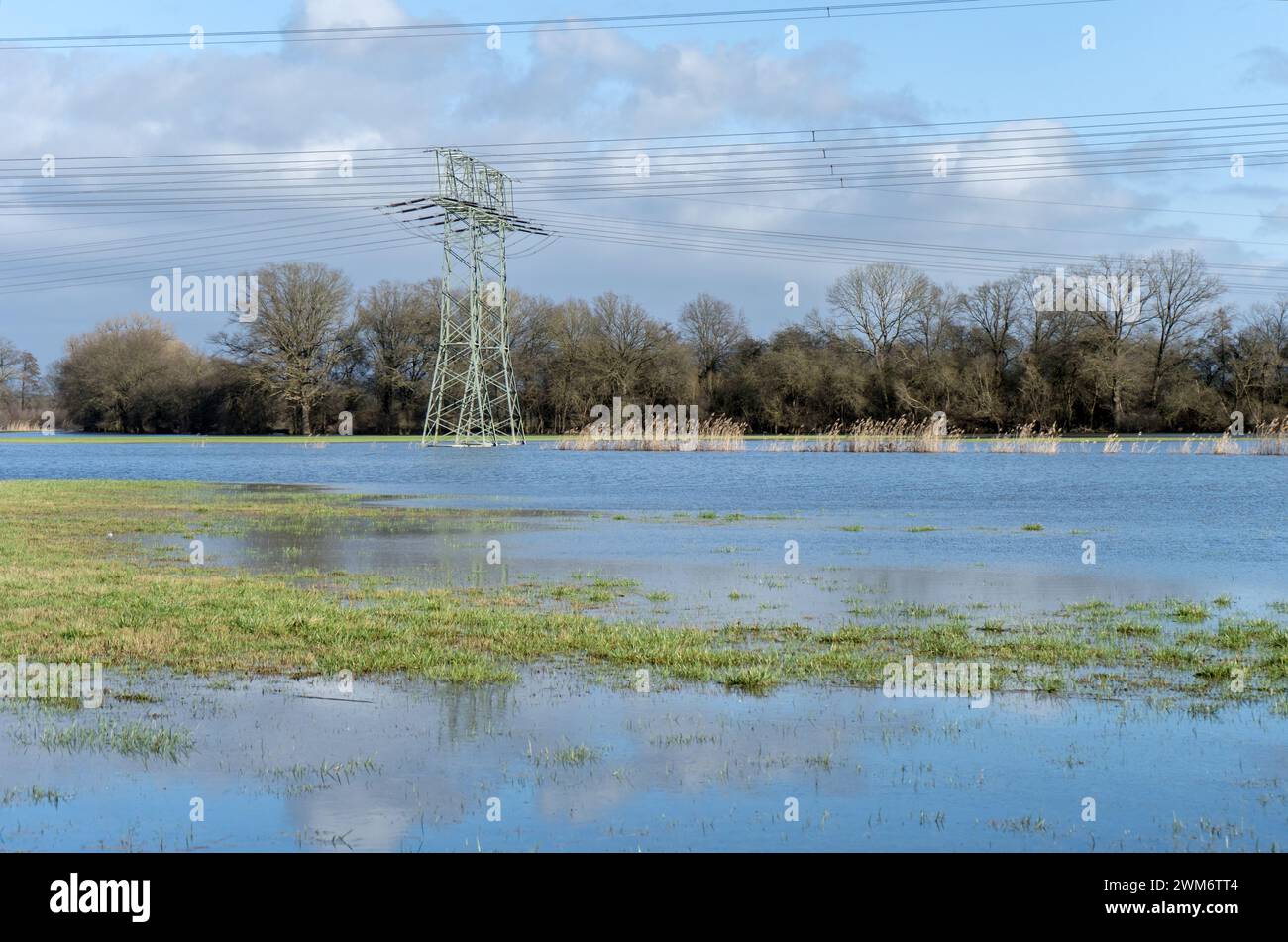 Flooded meadows with electricity pylons in the Altmark, Saxony-Anhalt, Germany Stock Photo