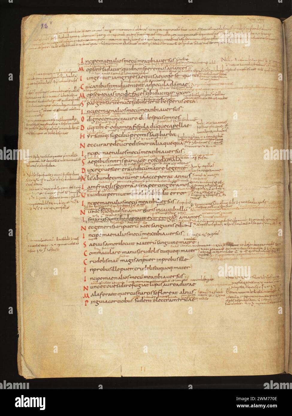 Cod. 165, f. 12v – Vergilius Bucolica, Georgica, Aeneis - Scholia Turonensia. Stock Photo