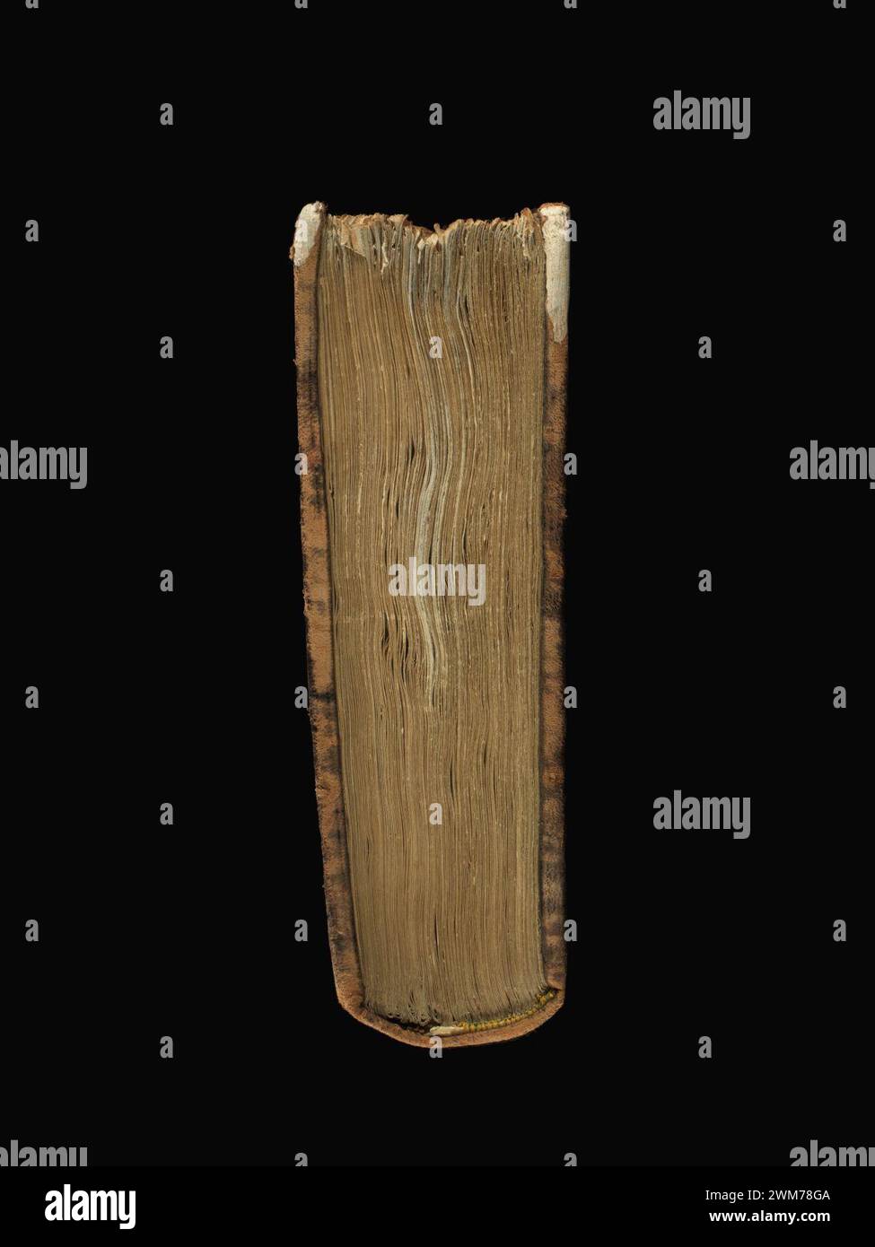 Cod. 165, Head – Vergilius Bucolica, Georgica, Aeneis - Scholia Turonensia. Stock Photo