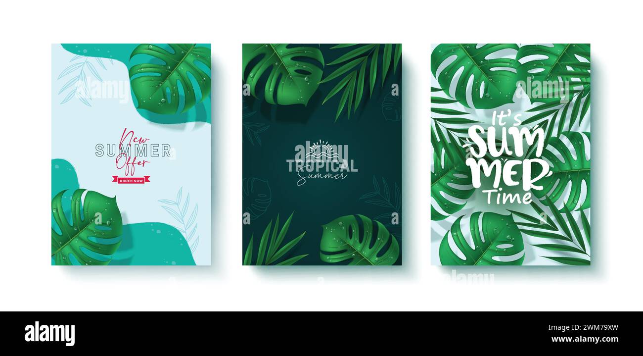 Summer tropical leaves vector poster set. Summer time greeting text ...