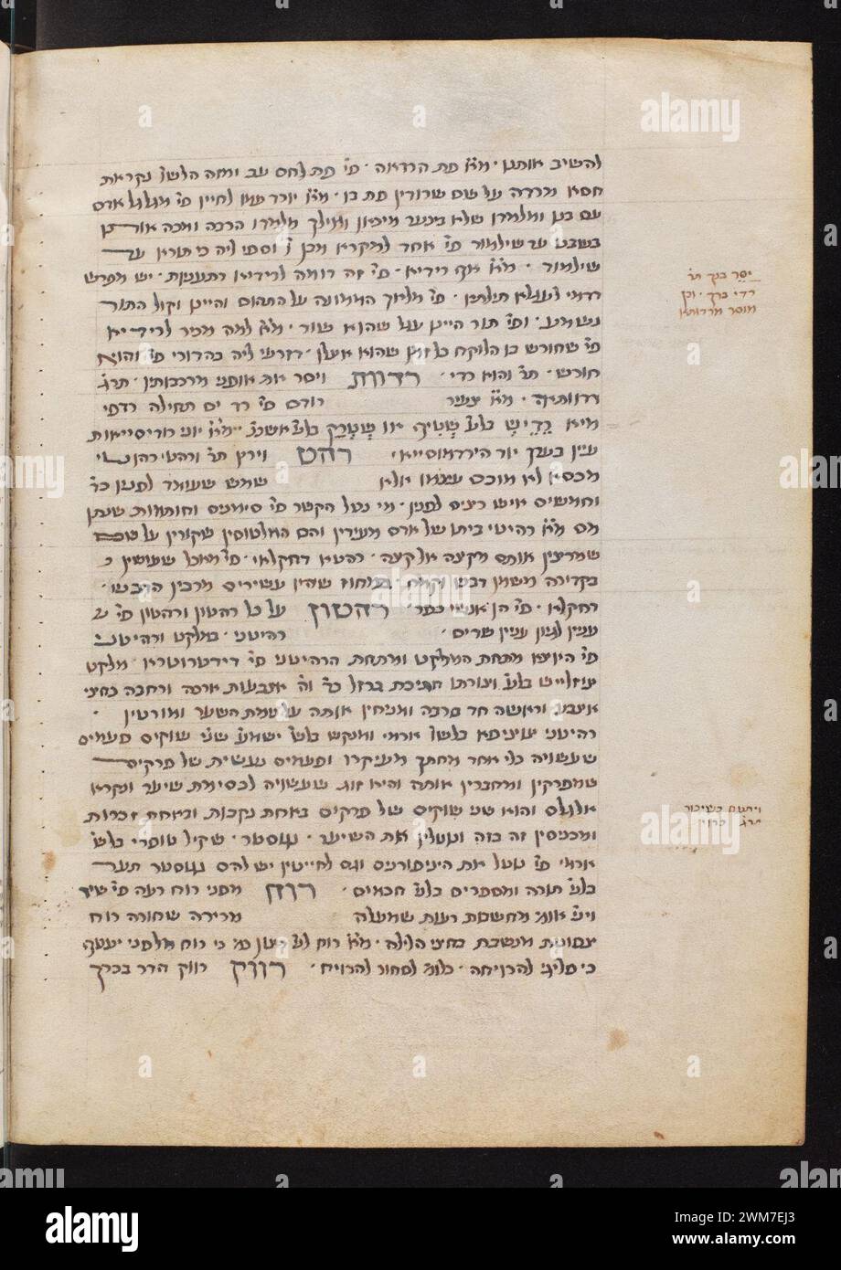 Cod. 200, f. 231v – Lexicographical and scientific miscellany. Stock Photo