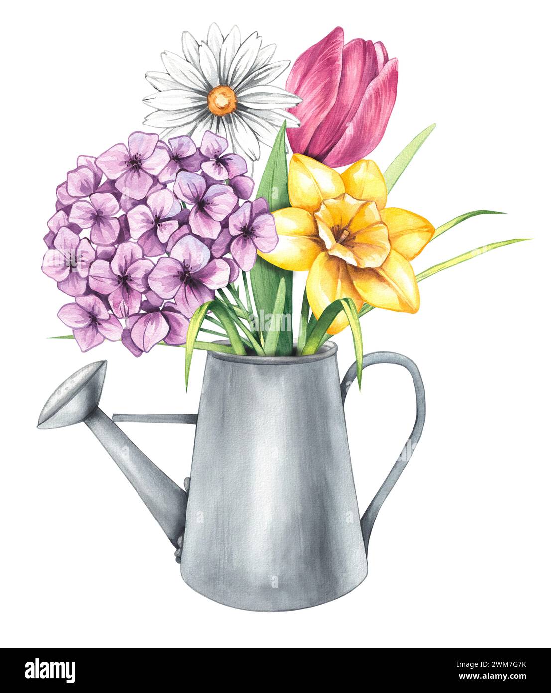 Watercolor watering can with flowers on a white background. Spring ...