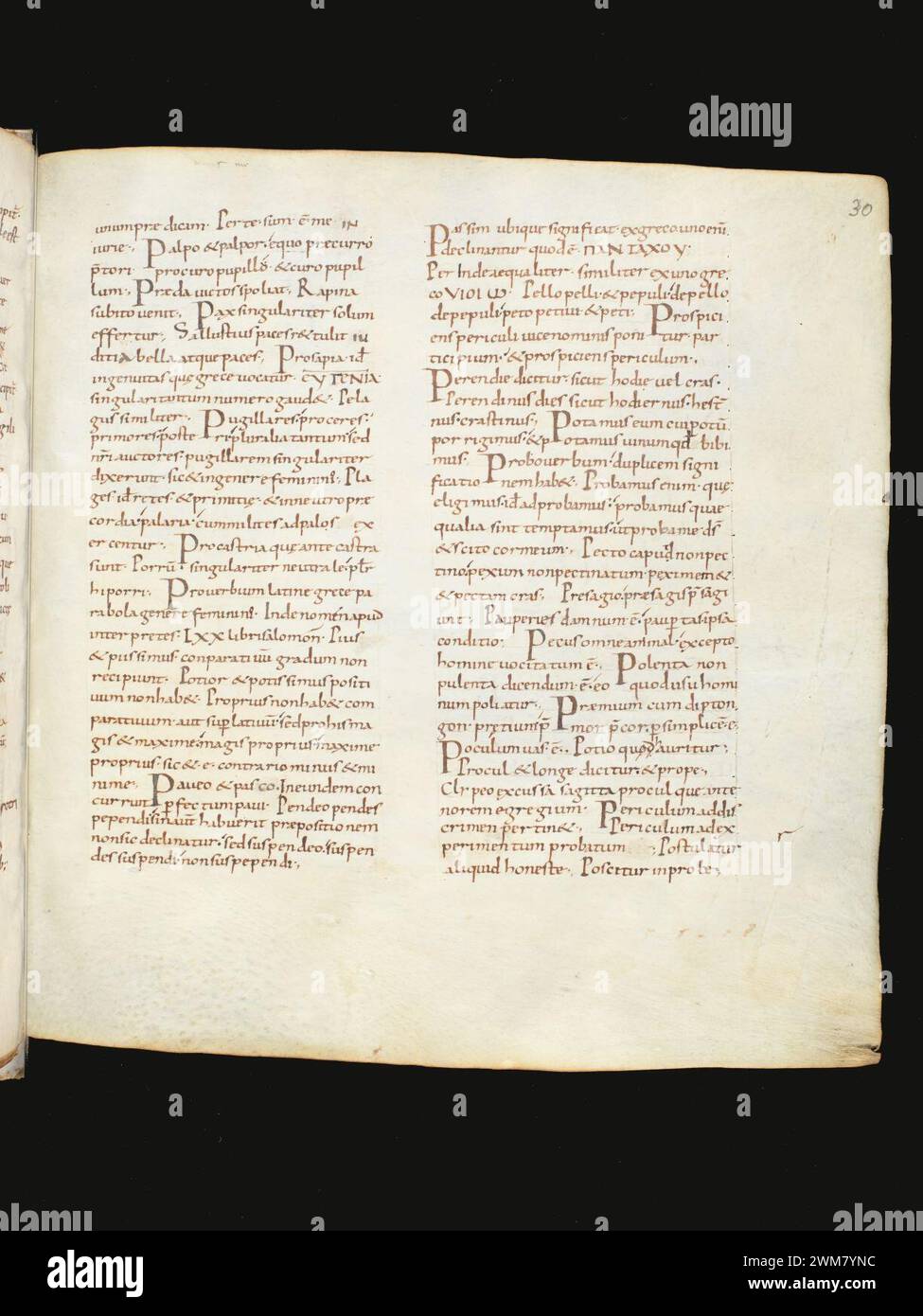 Cod. 330, f. 30r Composite manuscript Orthography and etymology