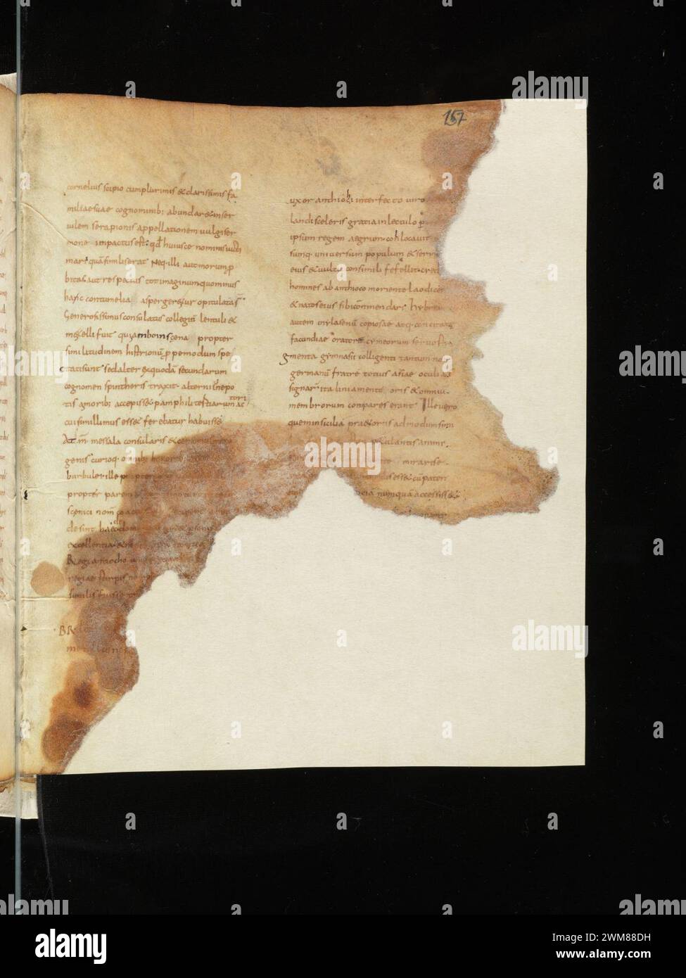 Cod. 366, f. 157r – Valerius Maximus Facta et dicta memorabilia Stock ...