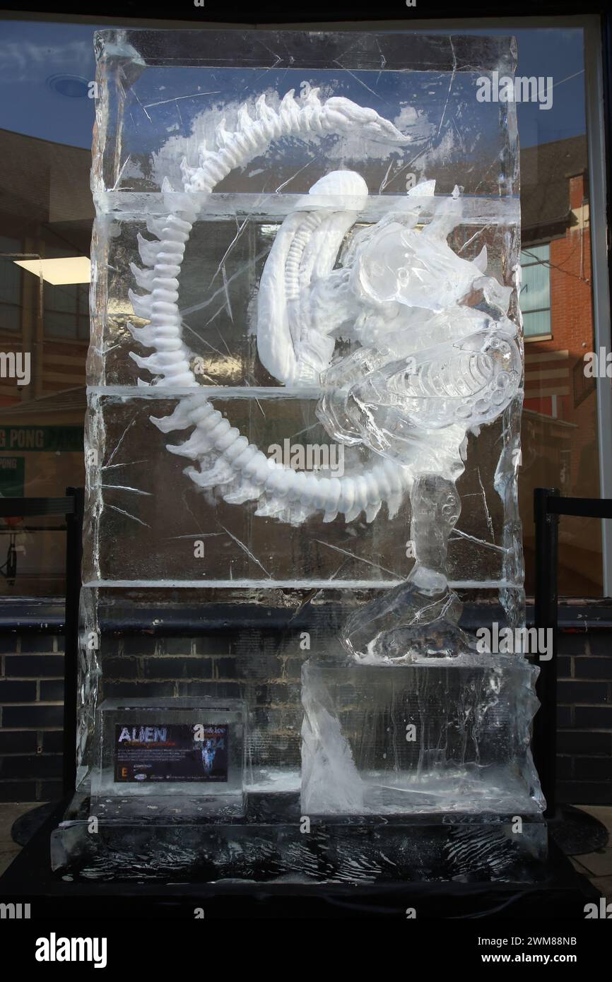 Durham, UK. 24th Feb, 2024. Ice Sculptures in the Stars of the Screen theme taking place across Durham City with live demonstrations, Durham, 24th February, 2024, Credit:DEWAlamy Live News Credit: DEW/Alamy Live News Stock Photo