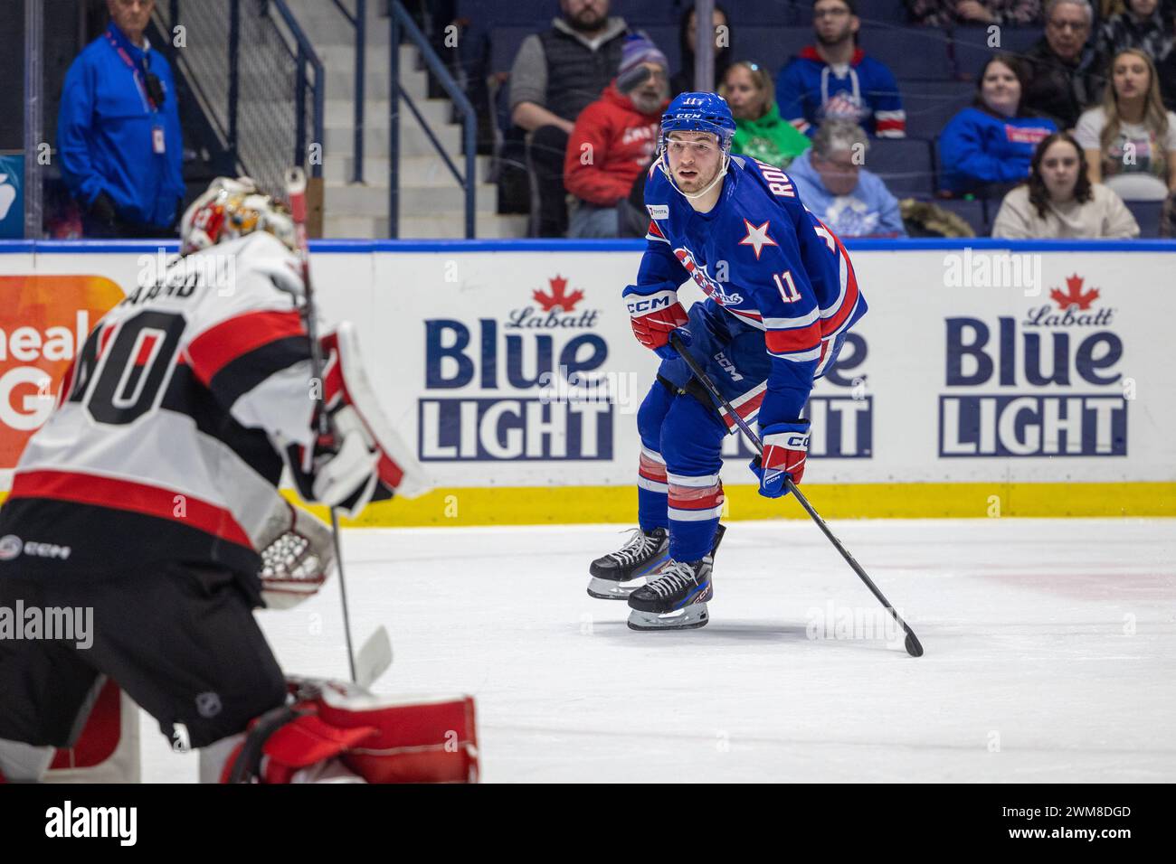 February 21st, 2024: Rochester Americans forward Lukas Rousek (11 ...