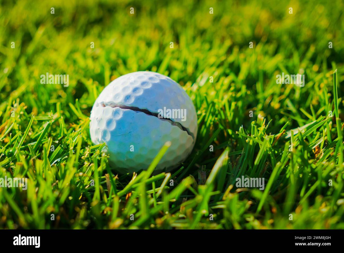 Golf Ball Shell Splits One split white golf ball lays on green grass. Damaged golf ball, close ...