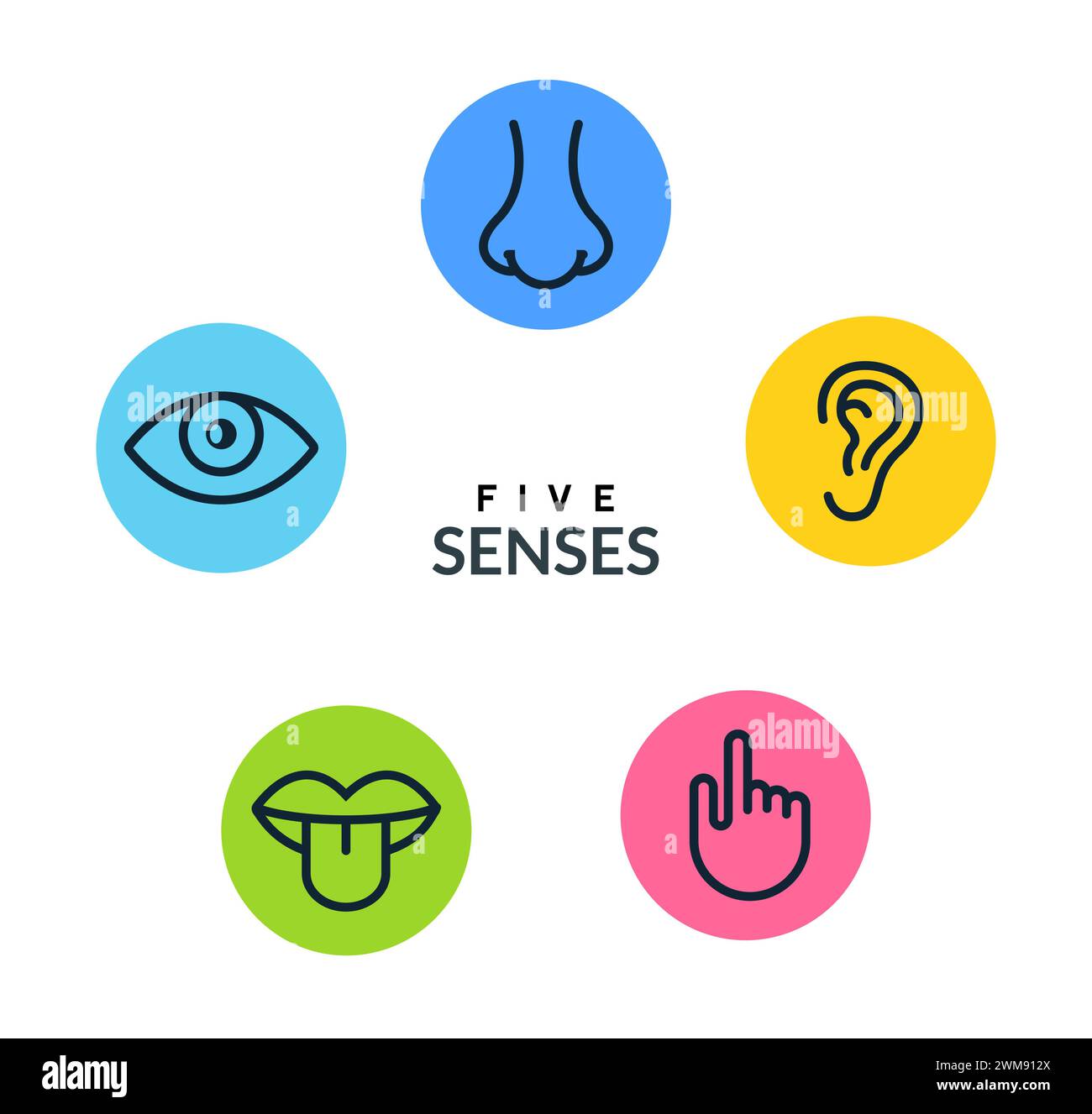 The five senses hearing Cut Out Stock Images &amp; Pictures - Alamy